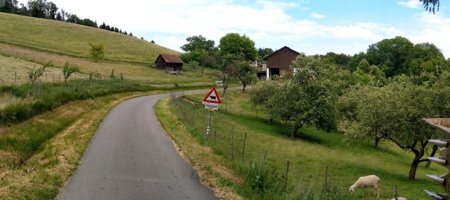 hofwärts