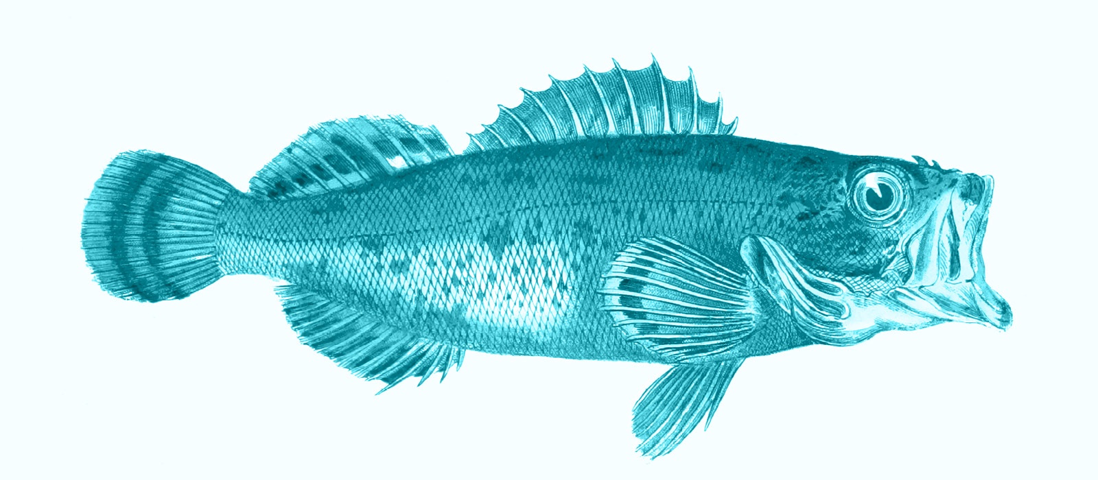 Wasserfischmensch