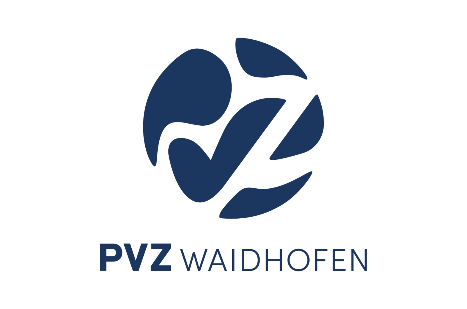 Pvz 03